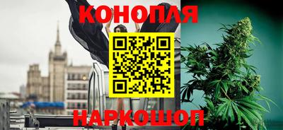 гидра Майкоп