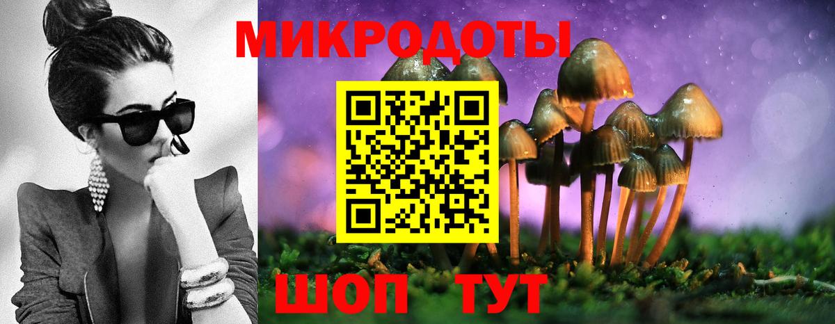 Псилоцибиновые грибы Cubensis  Вход с VPN  где купить наркотик  Истра 